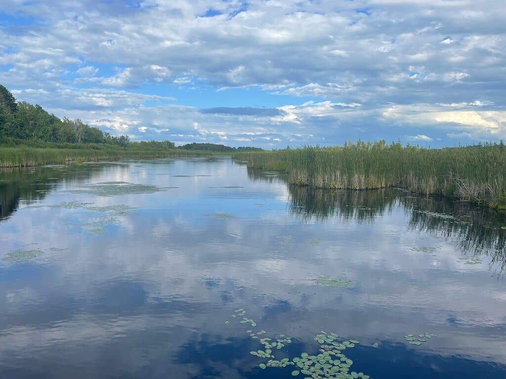 Mer Bleue Bog Boardwalk