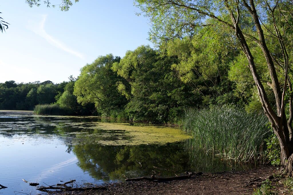 Lakes