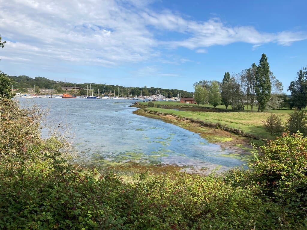 Devilla Forest Fife