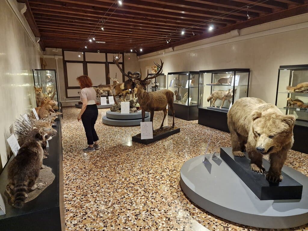 Museo Civico di Storia Naturale Silvia Zenari