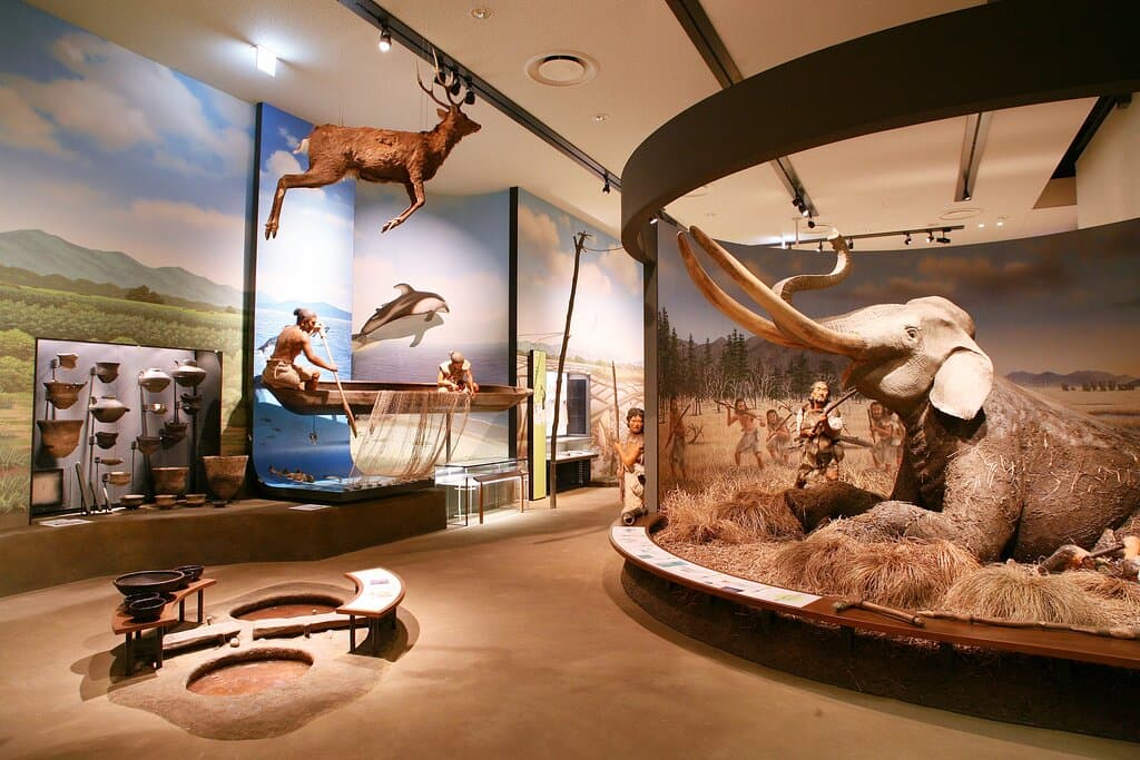 旧石器時代のナウマンゾウ、縄文時代のシカなどの復元品のほか、実際に遺跡から出土した縄文土器や石器などを展示。