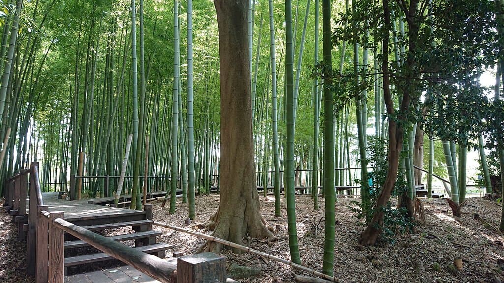 Minuma Tsusen-bori Canal
