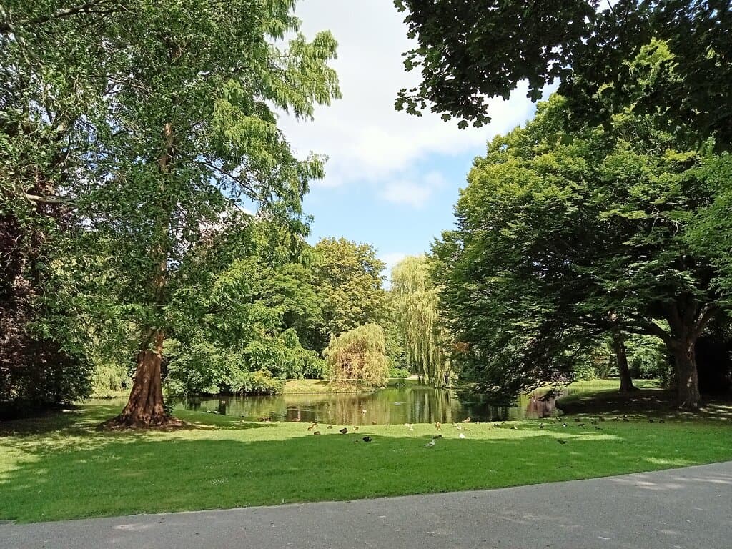 Pond area Rengerspark, Leeuwarden, Friesland, Netherlands. July 2022.