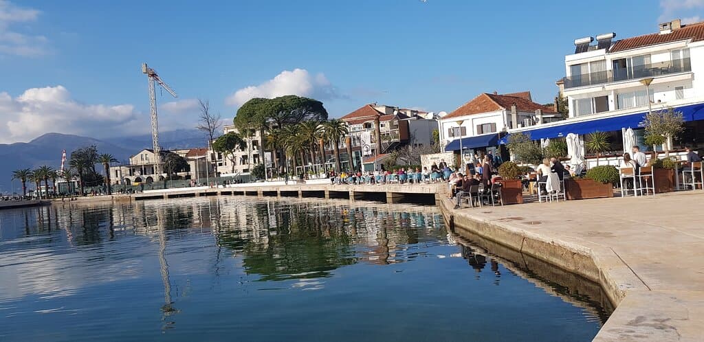 Gorgeous tivat pine embankment