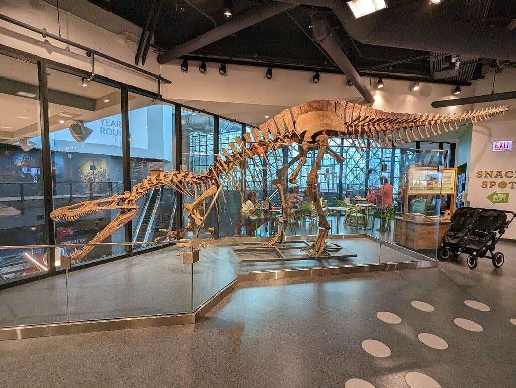 Chicago Children's Museum Navy Pier