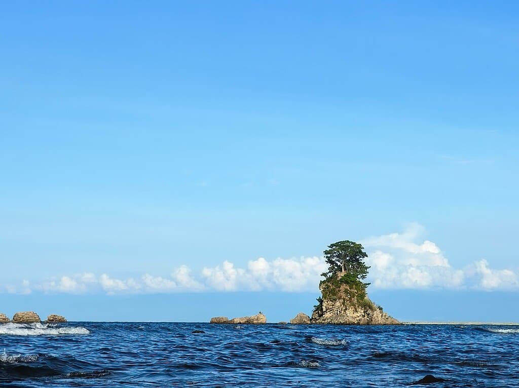 以白色沙滩和高大松树著称的雨晴海岸历来都是诗人和艺术家的灵感源泉。高冈本地的著名诗人大伴家持曾在诗中赞美这座"原始海滩",并邀请一位朋友在海滩骑马赏景。传说著名将领源义经曾在雨晴避雨,并将一块岩石以自己的名字命名,至今您仍能见到。