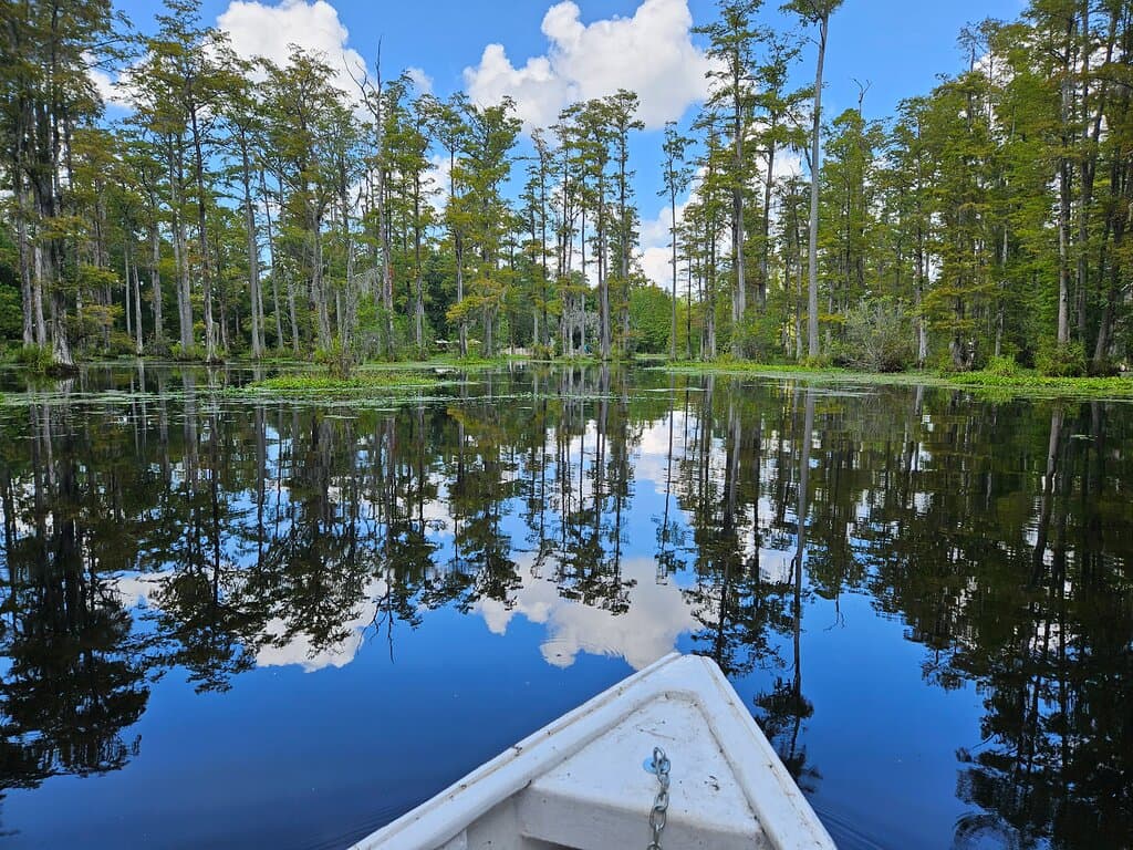 Cypress Gardens