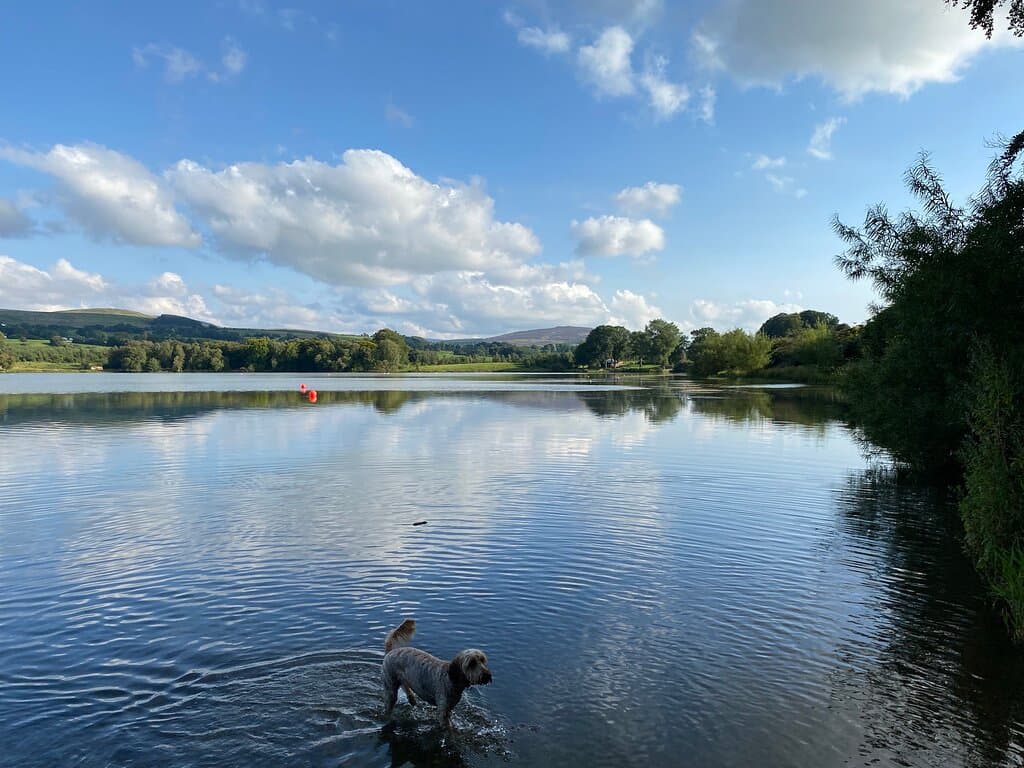 Talkin Tarn Country Park