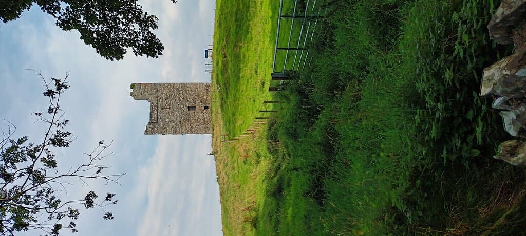 Audleys Castle, Castleward