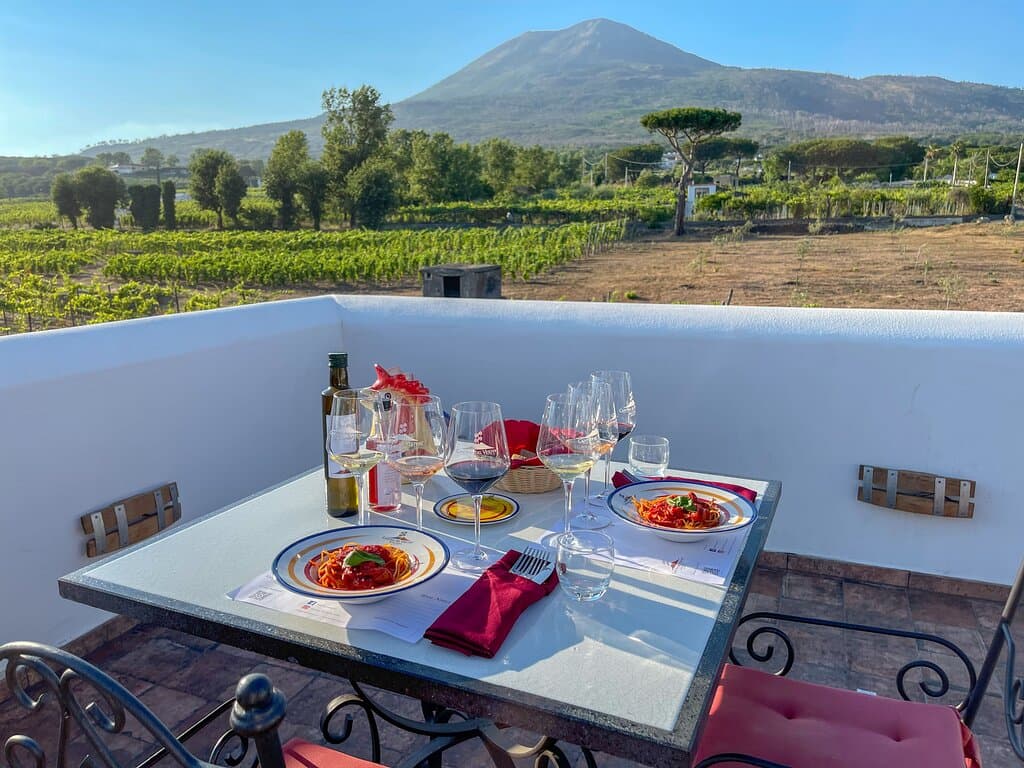 Enjoy a Wine Tasting with lunch with Mt Vesuvius stunning views