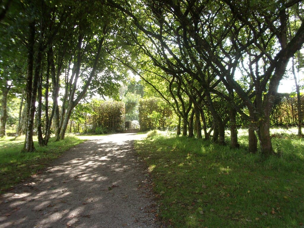 Leafy Walk To The Potager Garden