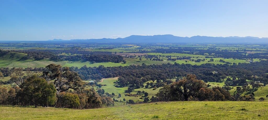 One Tree Hill Lookout