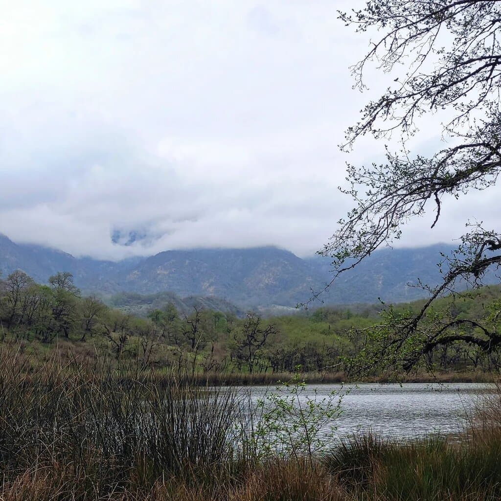 Guamá Laguna del Tesoro
