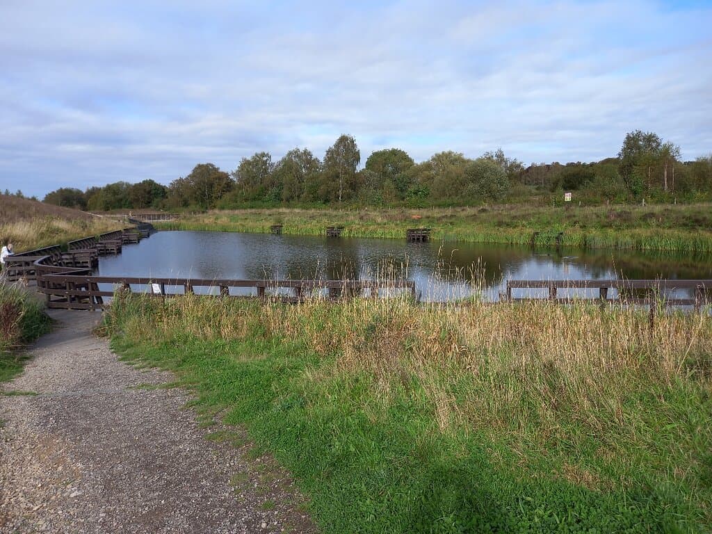 Avenue Washlands Nature Reserve