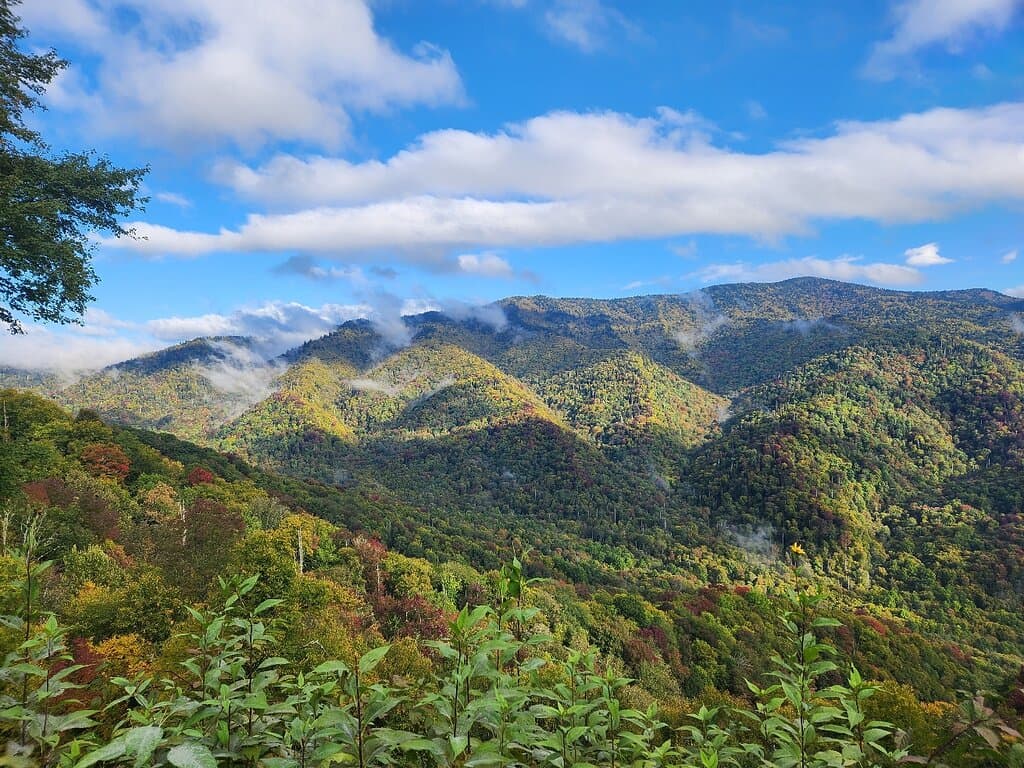 Newfound Gap Great Smoky Mountains National Park