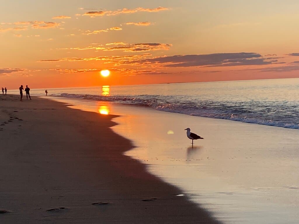 Race Point Beach Provincetown Massachusetts