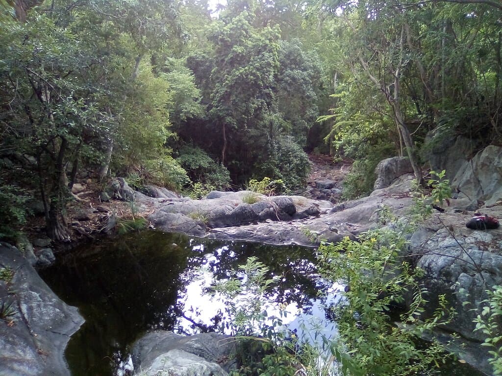 view of the pool from above