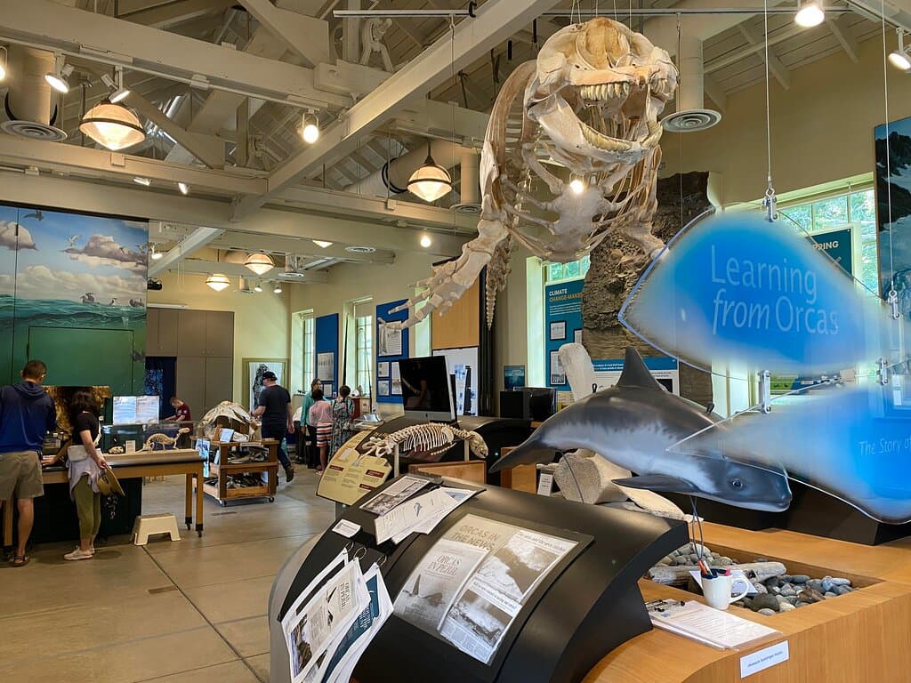 In the Museum, learn the compelling story of this beautifully articulated orca named Hope. Engage with interactive displays and videos that explore the human impact on the Salish Sea eco-system. 

Visit the gift shop as well! We stock a wonderful variety of books, for kids and adults, PTMSC logo gear, and so much more.

The Museum is our exhibit building on the shore.