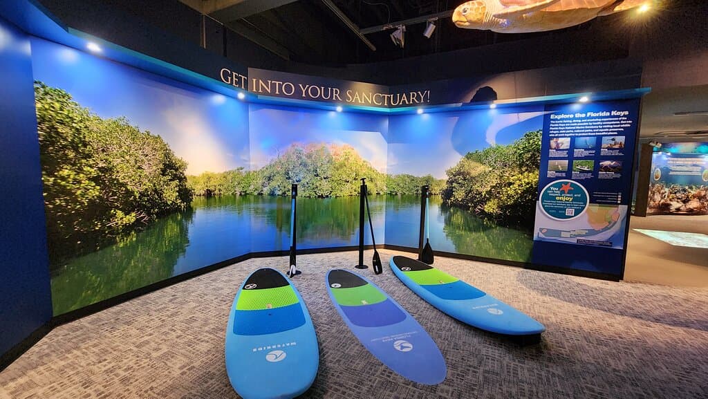Interactive exhibit in the Eco-Discovery Center. 