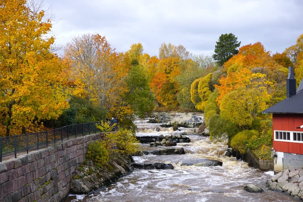 Beautiful autumn tints