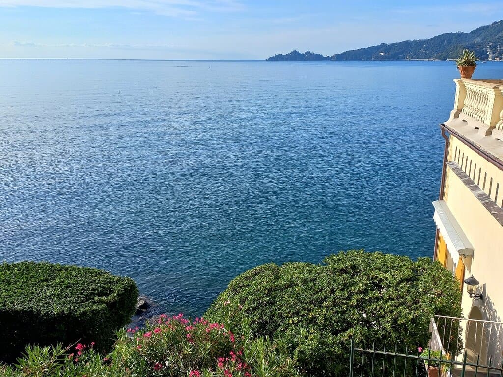 Villa Tigullio. Rapallo. Panorama dal parco , con il promontorio di Portofino. (17.10.23).
