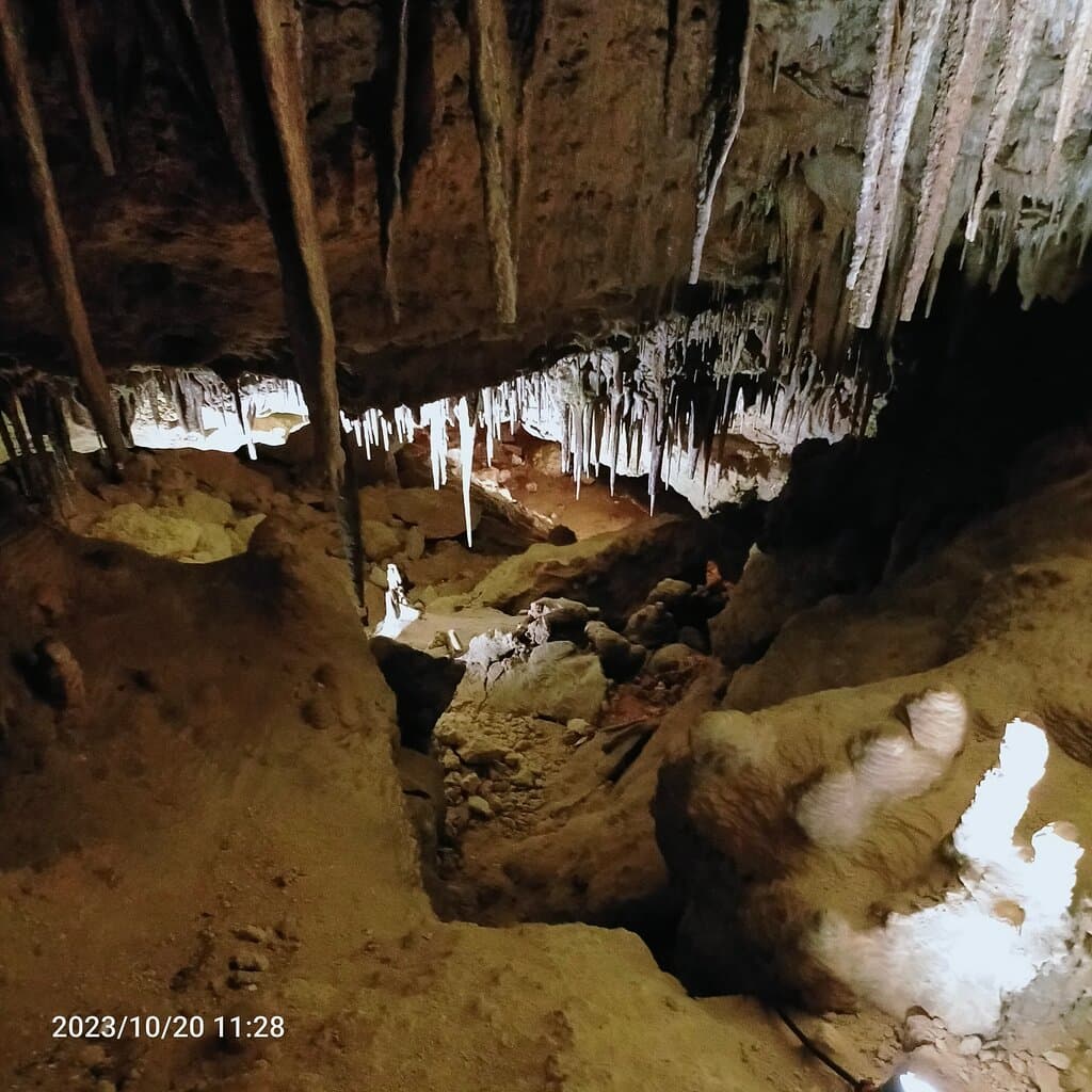 Bat Observation Centre Naracoorte Caves