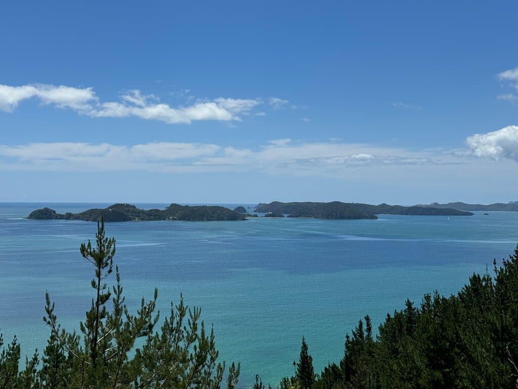 the view from the lookout - but you see just as good views from the fenceline