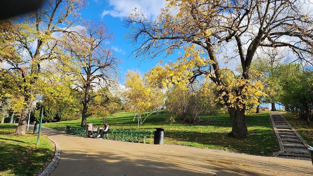Enjoy a Picnic in Riegerovy Sady