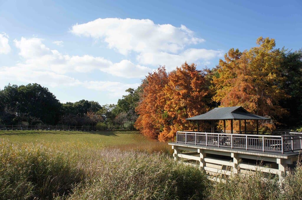 Uji City Botanical Gardens Uji