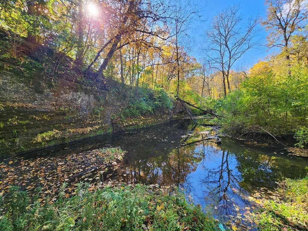 Fall foliage