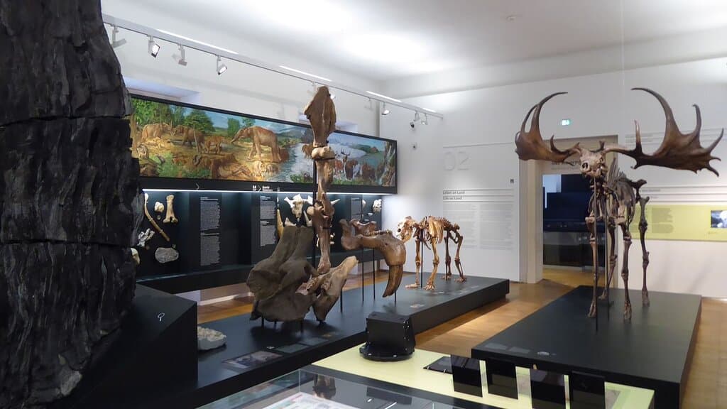 Naturkundemuseum