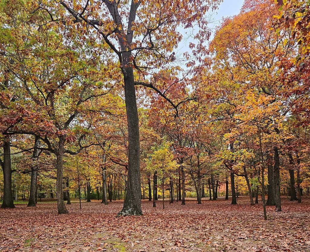 Hempstead Lake State Park