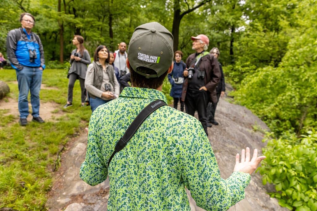 Volunteer for a Park Clean-up