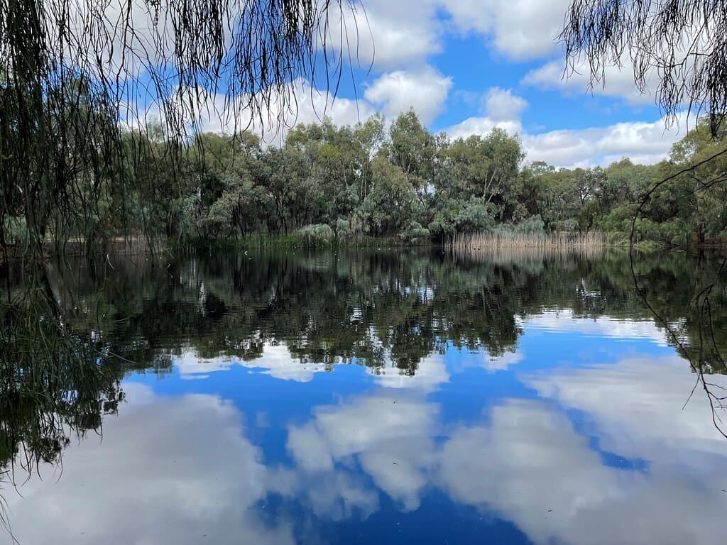 Etiwanda Wetlands