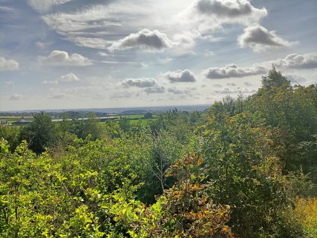 View from Gedling Park