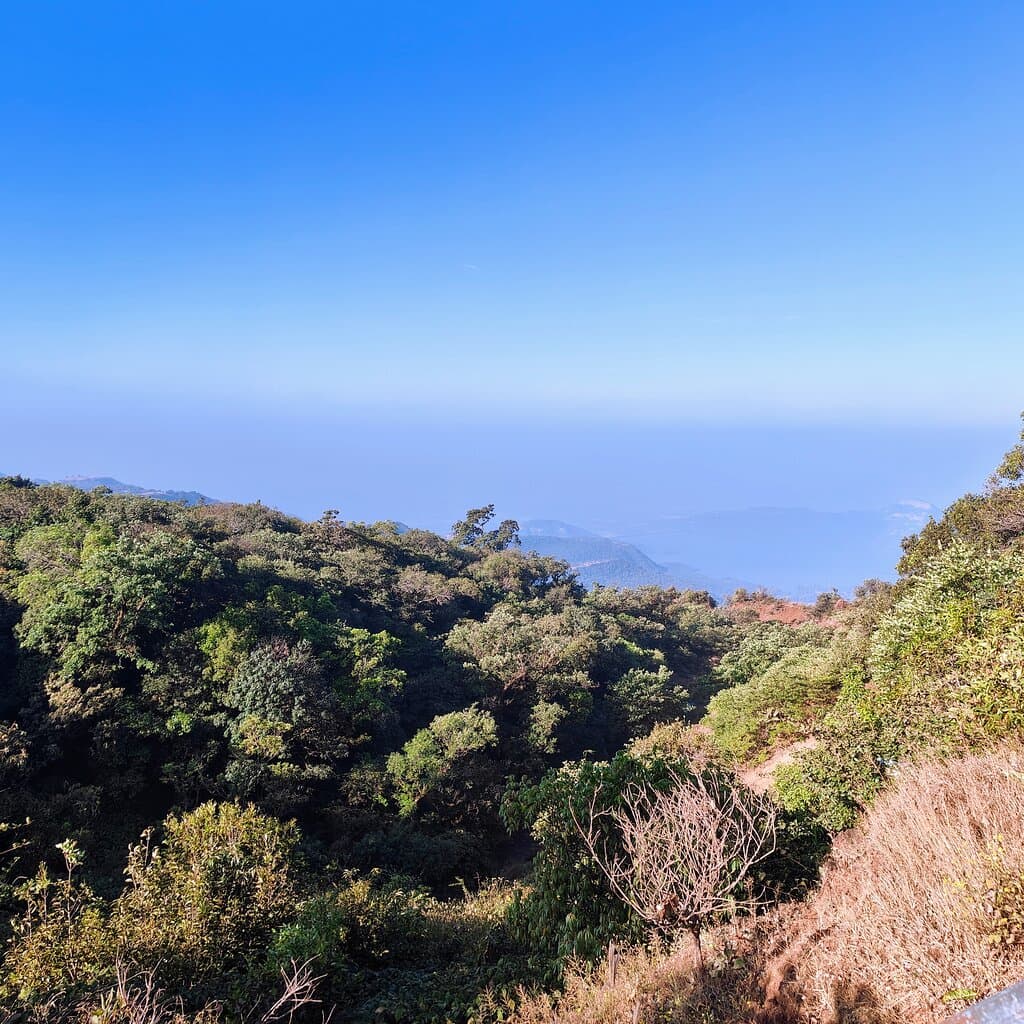 Dajipur Bison Sanctuary