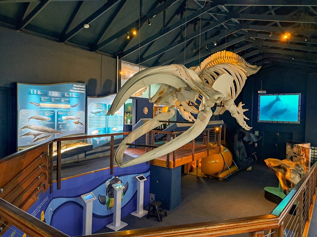 Whale House Museum Hoonah