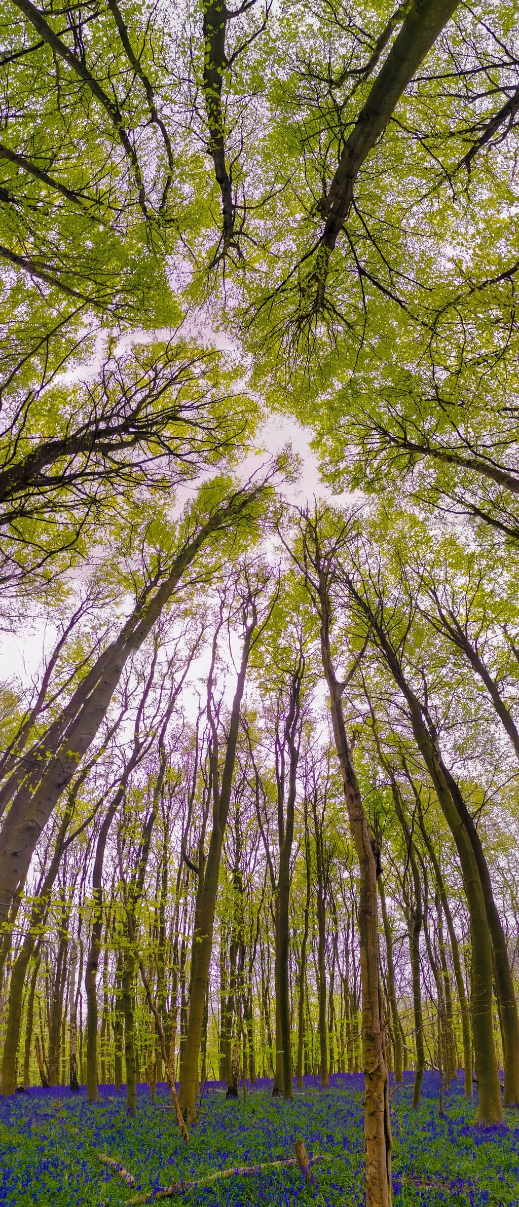 Sunday 30th April 2023 