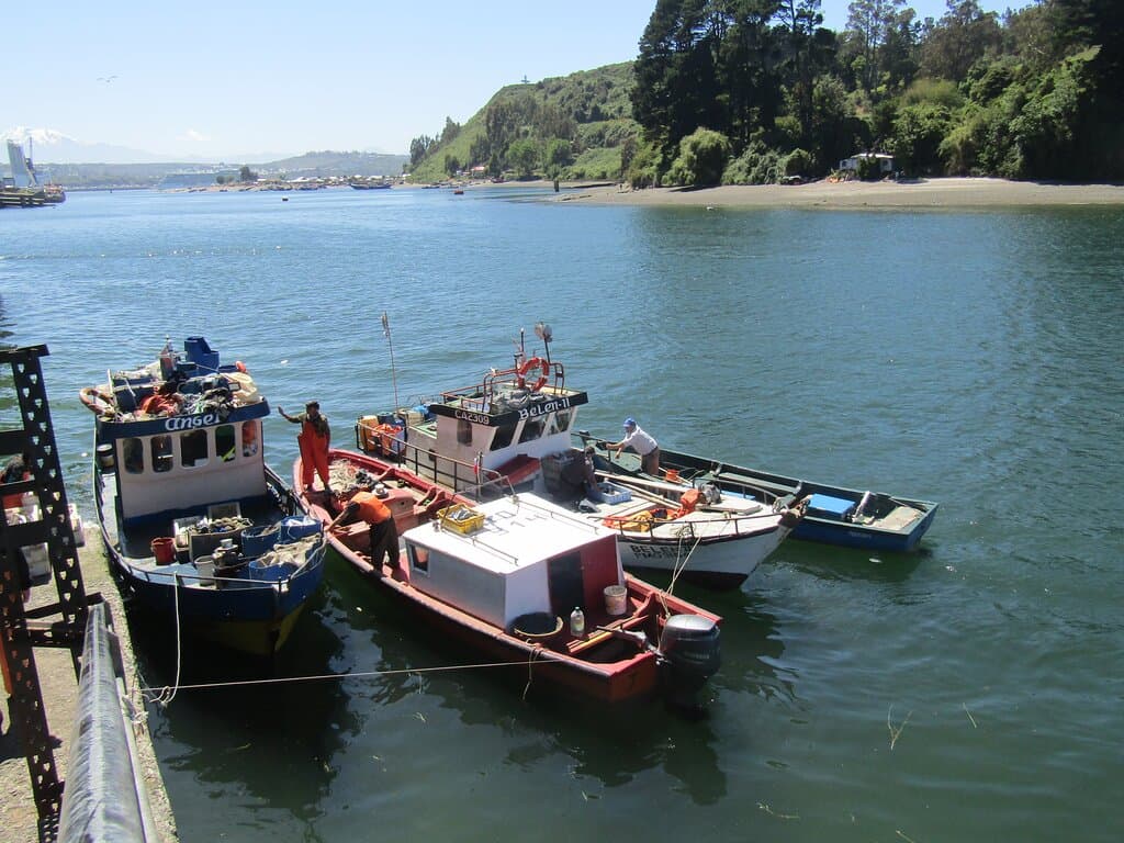 Angelmó Market Puerto Montt