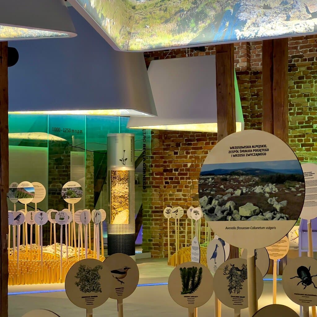 Świetne miejsce. Obowiązkowy punkt na mapie będąc w Karkonoszach.