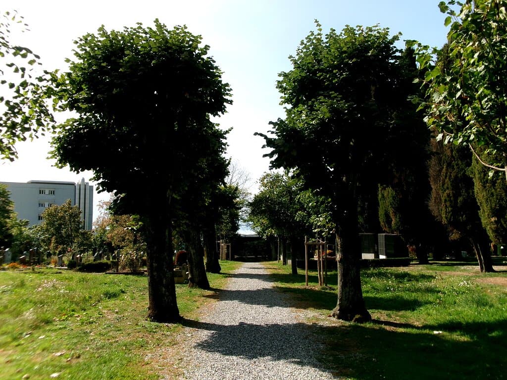 Tranquil  