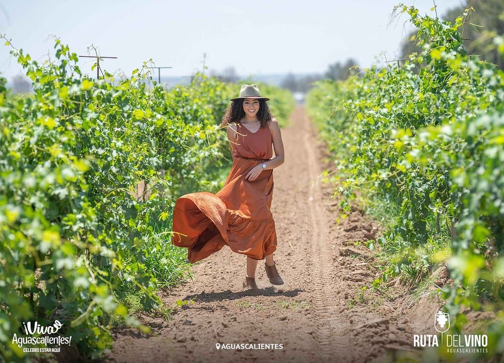 Ruta del Vino Aguascalientes