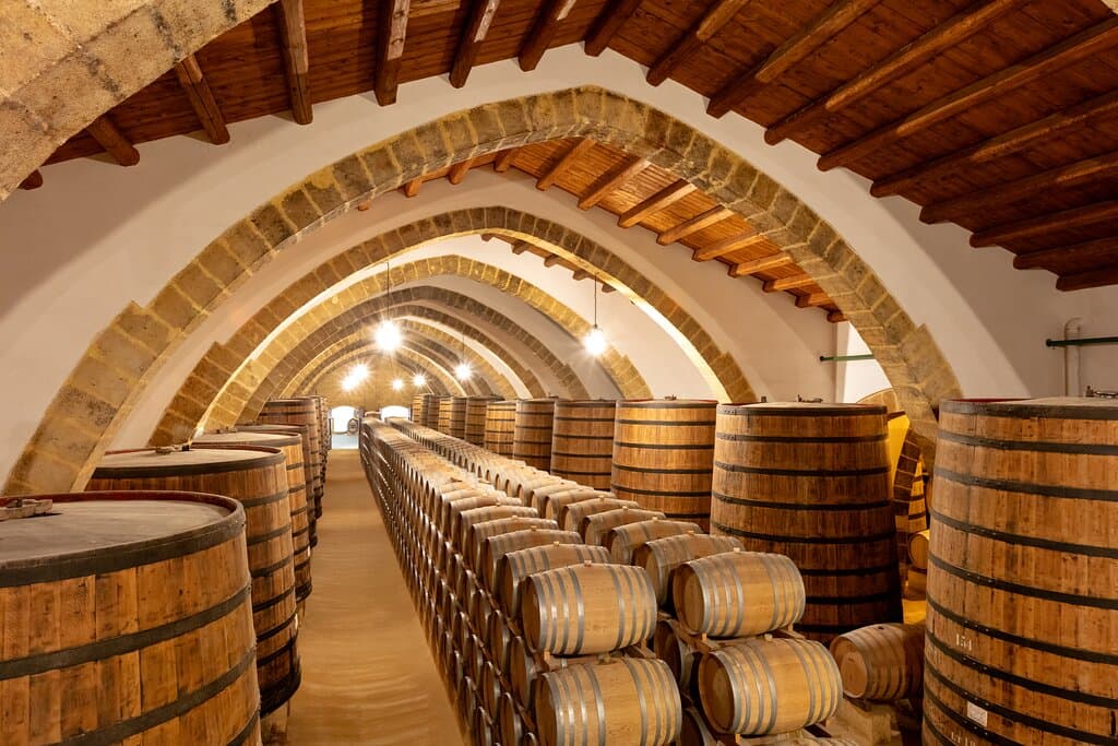 Il viaggio in Cantina tra le bottaie