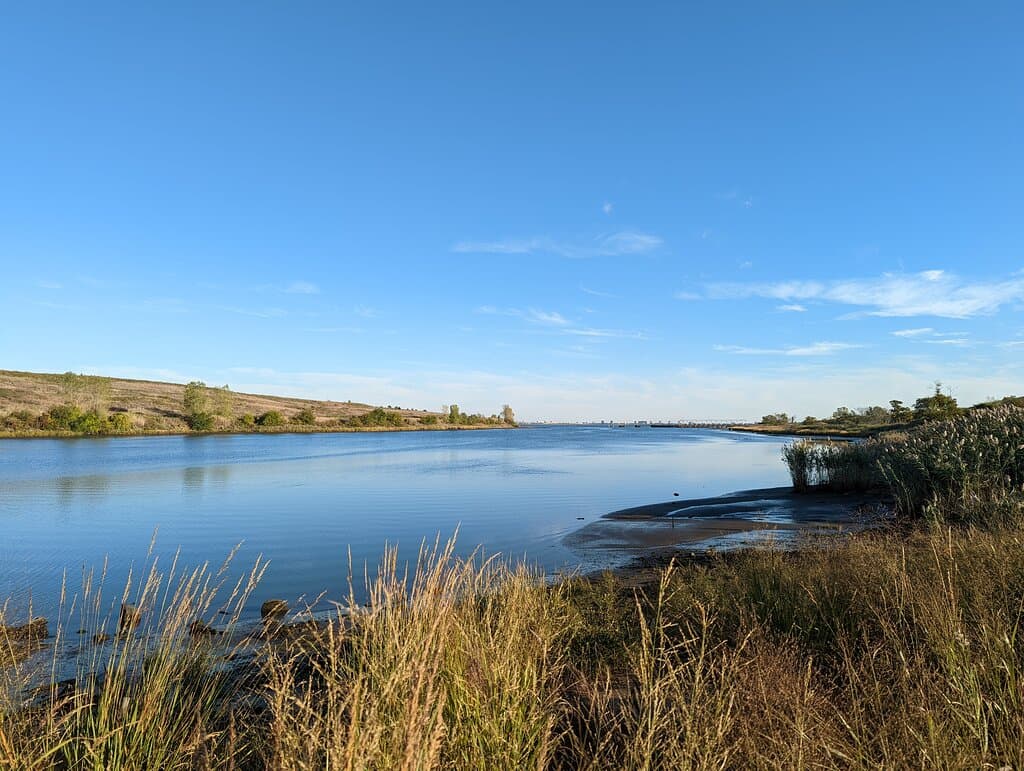 Explore Shirley Chisholm State Park
