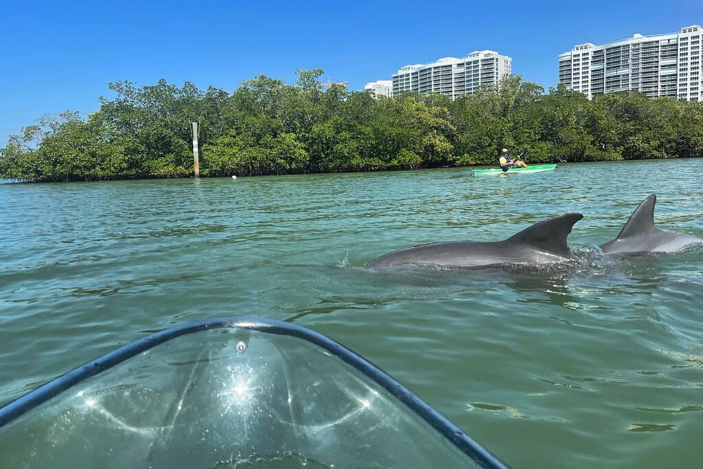 Take a sunset kayak tour