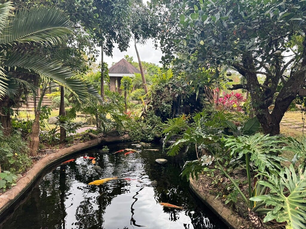 Yoki's Farm
