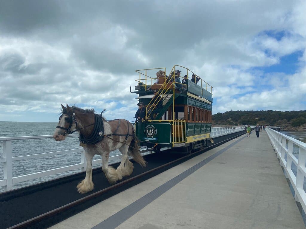 Horse drawn tram at Victor Harbour