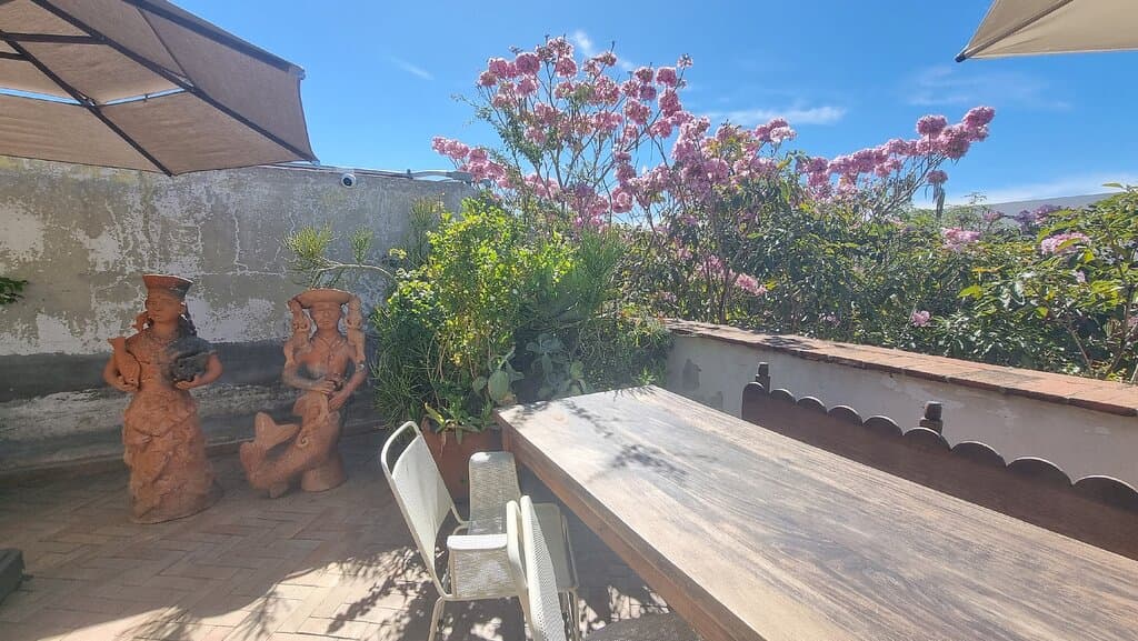 Amá Terraza