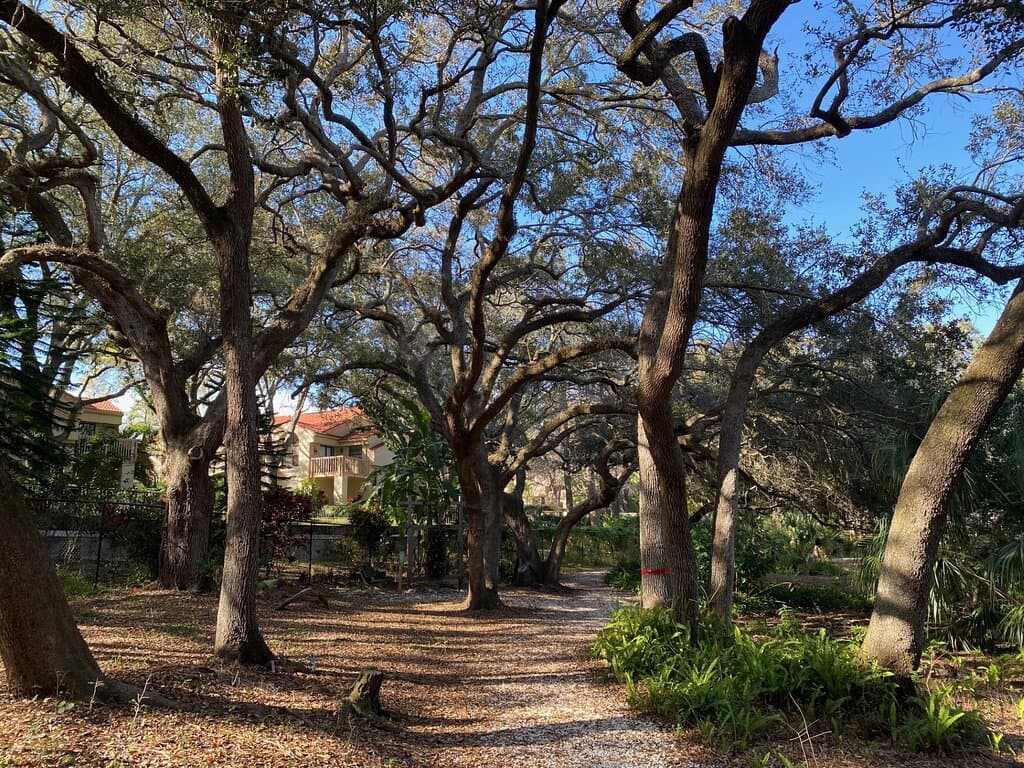 More of the trail arouond the lake.