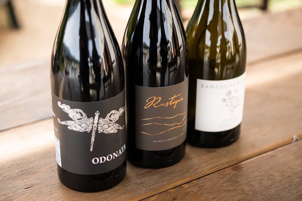 Salinas Valley wines we tried:  Odonata Wines, Bañuelos & Violini, Rustiqué Wines | photo by James Collier